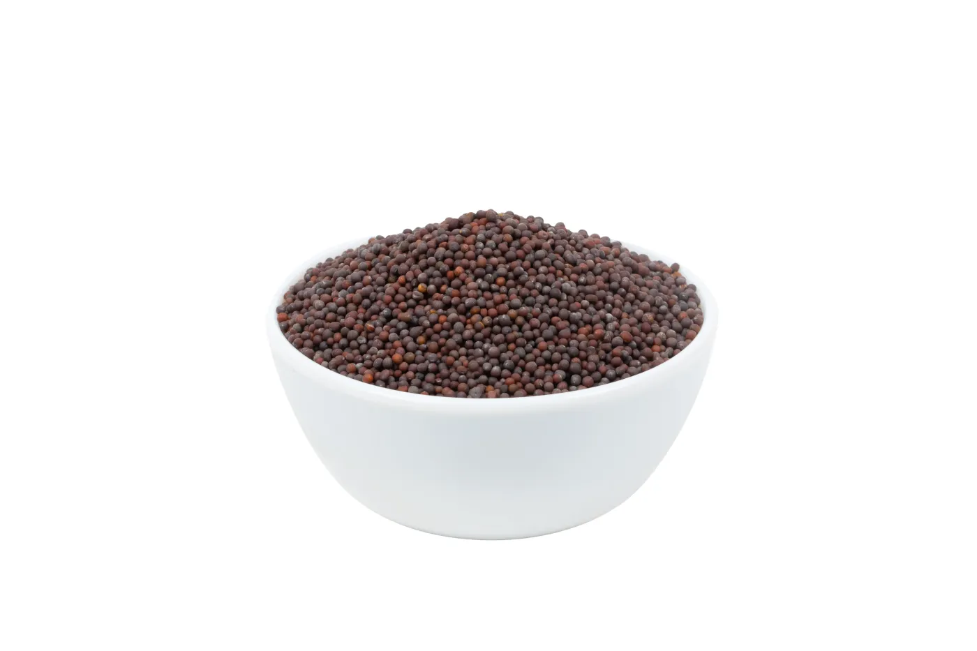 Oil Seeds