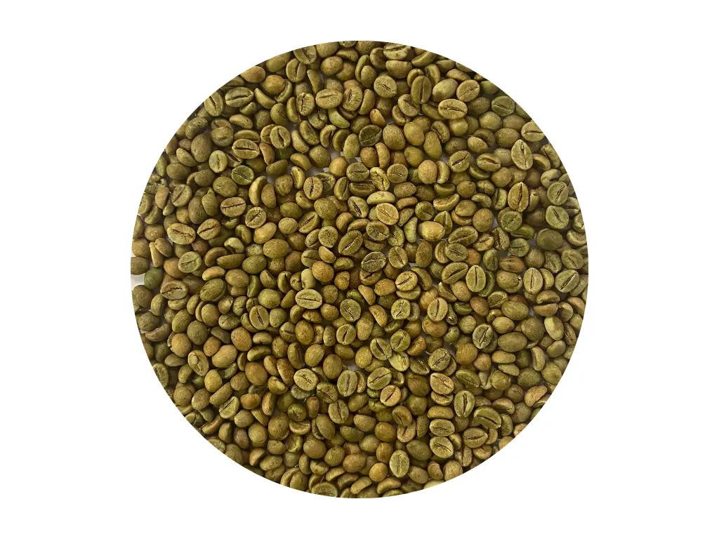 Coffee Robusta Cherry A