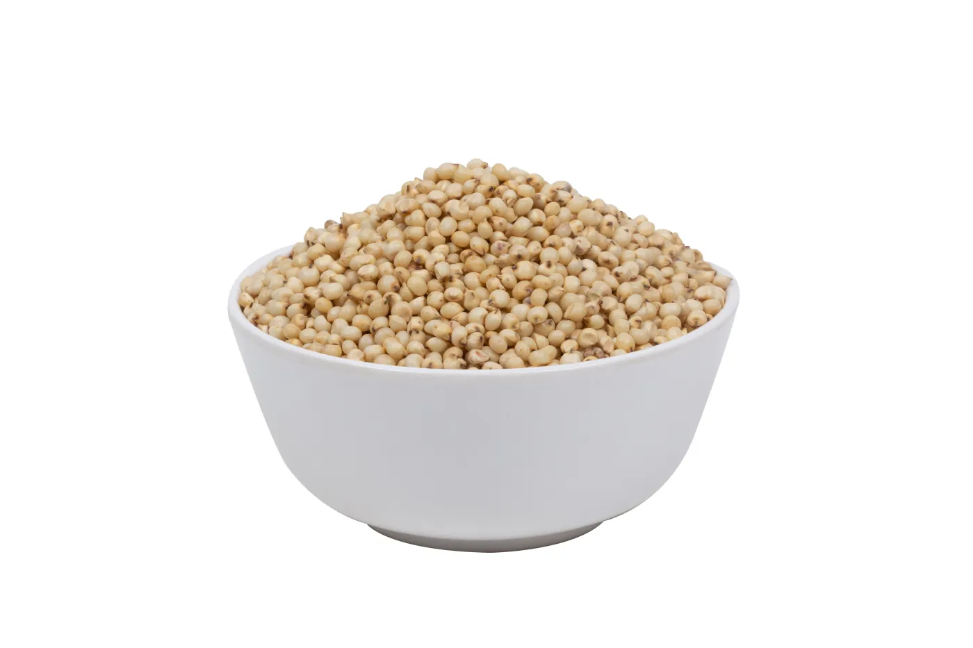 White Sorghum